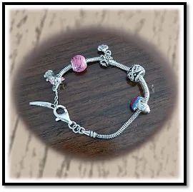 BB00180F-Silver Pandora Bracelet. $180.00