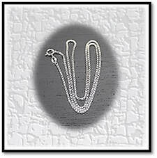Main page item silver small-box chain $90A
