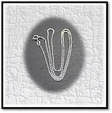Main page item silver small-box chain $90A