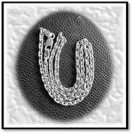 Main page item silver chain $420A