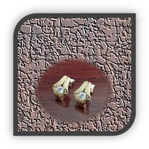 Main page item 9ct yellow gold & cubic studs $600C