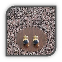 Main page item 18ct yellow gold & star sapphire studs $1800B