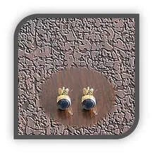 Main page item 18ct yellow gold & star sapphire studs $1800B