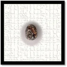 Main page item loose boulder opal $220A