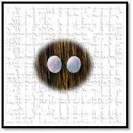 Main page item loose oval solid semi-black opal pair $1200C