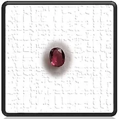 LGRG00200A-3.0ct Rhodolite Garnet. $200.00