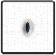 Main page item loose 1.1ct marquis Australian parti sapphire $1200A