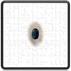 LGS02000A-1.65 Australian Sapphire. $2000.00