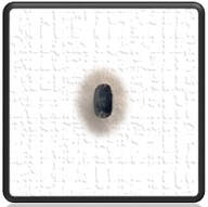 Main page item loose 2.9ct Australian sapphire $3000A