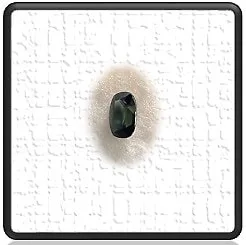 LGS09000A-4.3ct Teal Sapphire. $9000.00