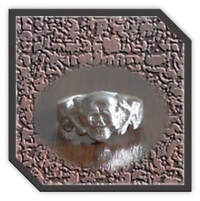 Main Product this page Men's Silver Ring-$150A