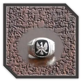 MR00200P-Sterling Silver Onyx Men's Ring. $200.00