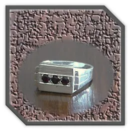 MR00240A-Sterling Silver Garnet Men's Ring. $240.00