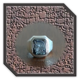 Main page item men's silver & octagonal haematite warrior head ring $250AP