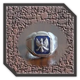 MR00250BD-Sterling Silver Synthetic Sapphire Men's Ring. ​$250.00