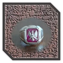 MR00250D-Sterling Silver Synthetic Ruby Men's Ring. $250.00