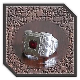MR00250J-Sterling Silver Garnet Men's Ring. $250.00