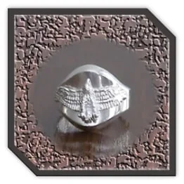 MR00250N-Sterling Silver Men's Ring. $250.00