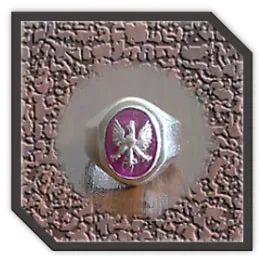 MR00260B-Sterling Silver Synthetic Ruby Men's Ring. ​$260.00