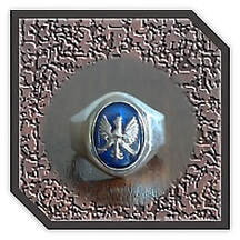 Main page item men's silver & synthetic sapphire eagle ring $260F