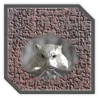 Main page item men's silver & sapphire panther head ring $300K