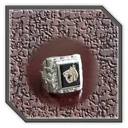 MR00400E-Sterling Silver Onyx Men's Ring. $400.00