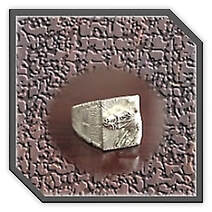 Main page item men's larger silver ring with silver horse head design $400F