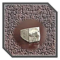 Main page item men's larger silver ring with silver horse head design $400F