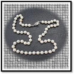 NE01000A-Cultured Pearl Silver Clasp Necklace. $1000.00