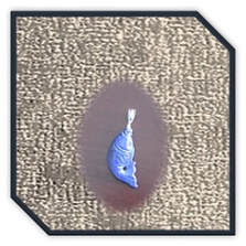 Main page item silver loop & lapis lazuli fish pendant $50A