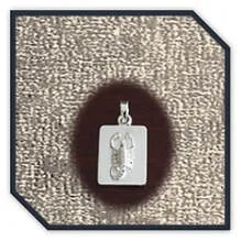 Main page item rectangular silver Scorpio pendant $110B