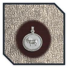 Main page item round silver Capricorn zodiac pendant $150C