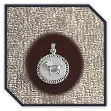 Main page item round silver Capricorn zodiac pendant $150C
