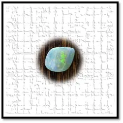 LG02500A-Solid Shell Opal.