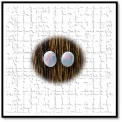 LG01200C-Solid Semi Black Opal Pair.